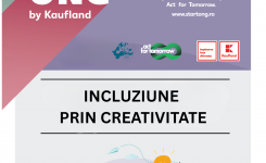 Incluziune prin creativitate la Cristuru Secuiesc
